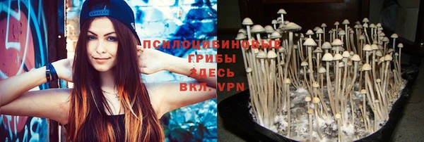 таблы Аркадак