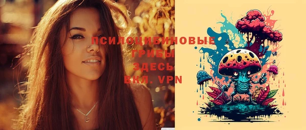 дживик Арсеньев