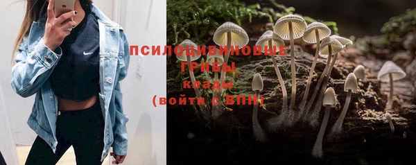 соль курить ск Новозыбков